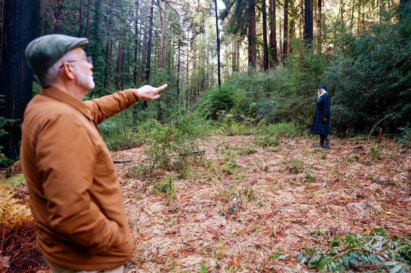 As climate “whiplash” worsens, post-CZU soil erosion in the Santa Cruz Mountains reveals post wildfire problems