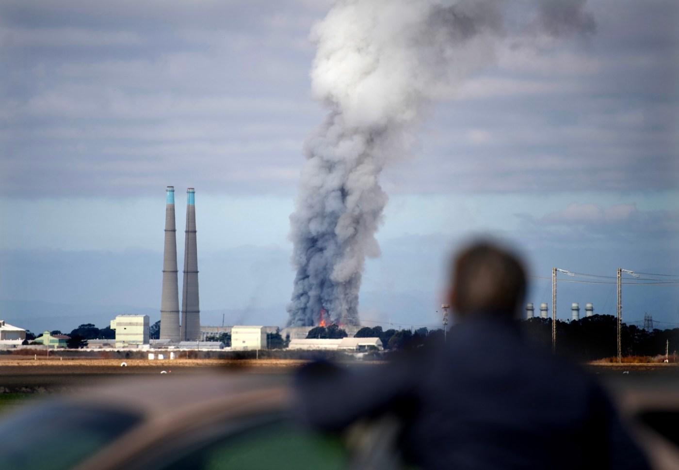 Moss Landing battery fire: Unusually high concentrations of toxic metals found in wetlands near plant