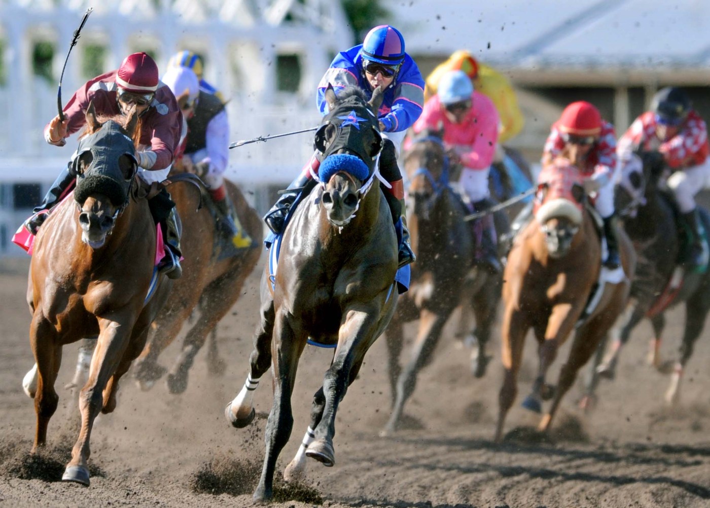 Northern California horse racing faces grim future