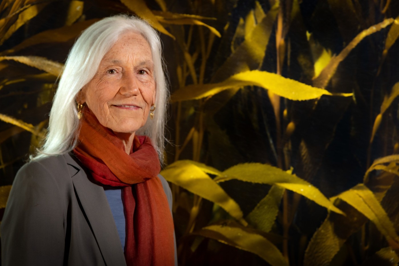 ‘We have an amazing piece of the planet here’: Monterey Bay Aquarium’s Julie Packard to retire (sort of) after 40 years