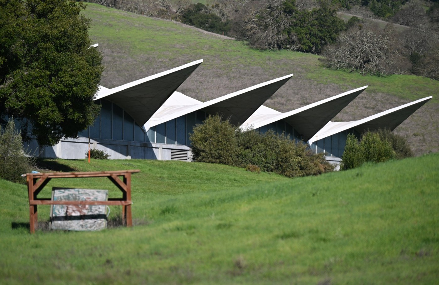 Landmark Birkenstock headquarters in Marin County listed for sale