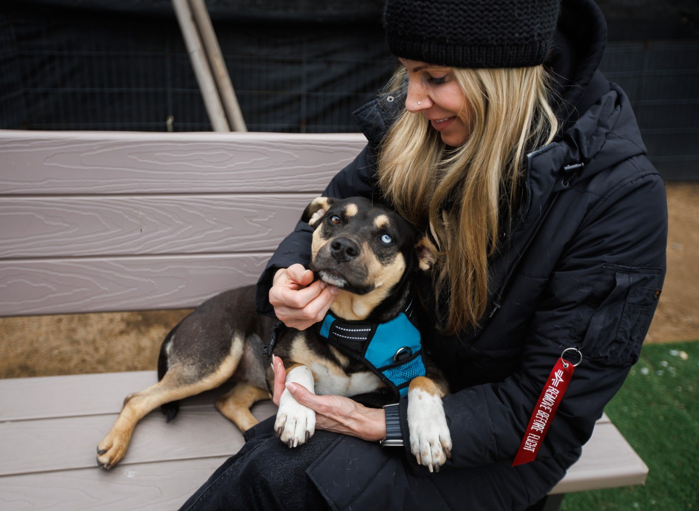 LA fires: Pets displaced from shelters up for adoption in Bay Area