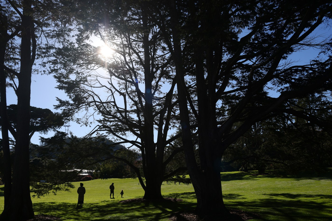 Bay Area to see warmer days, minimal rain this week