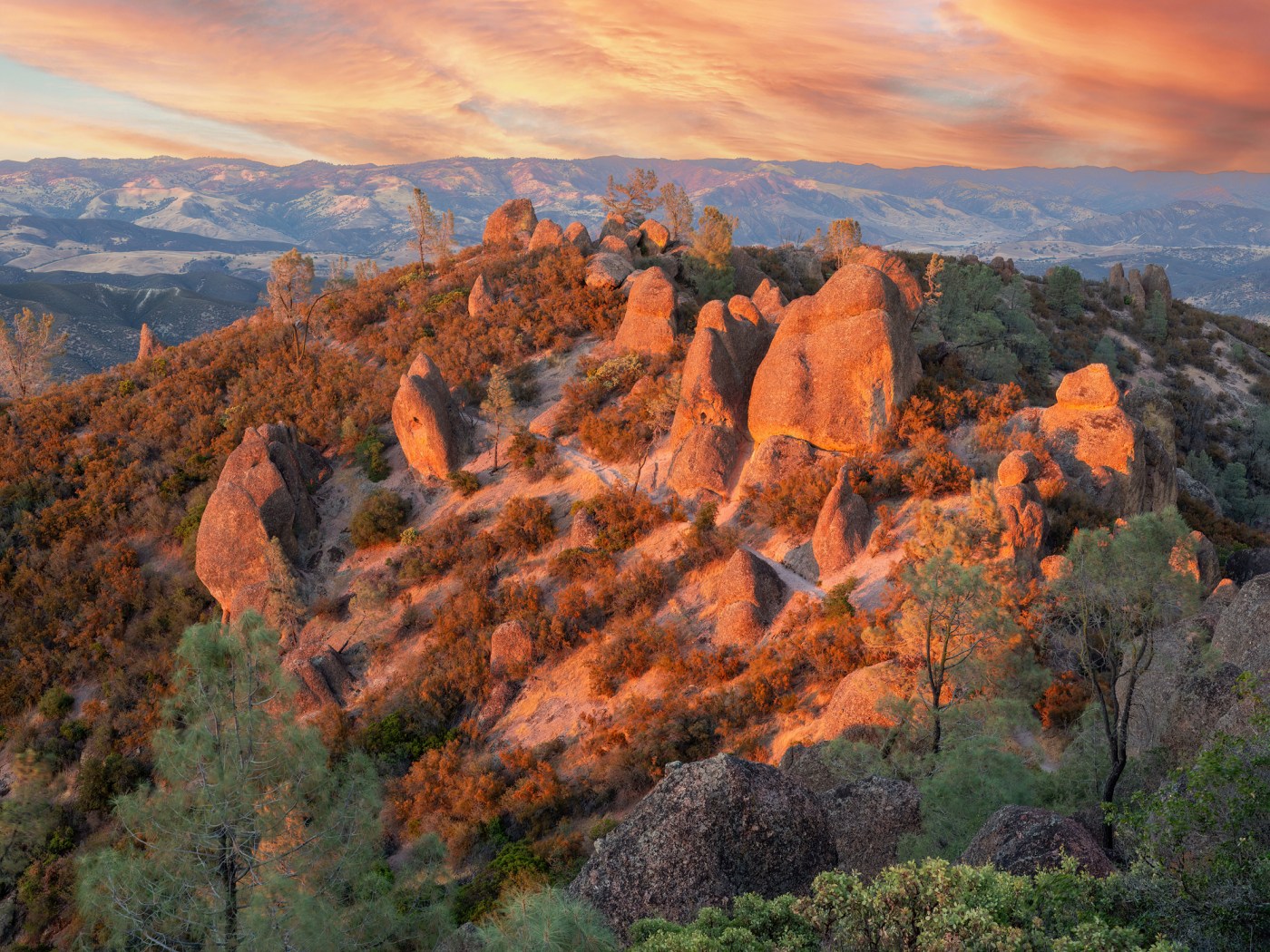 Winter in Pinnacles: What to do (and what to avoid) at your next National Park visit