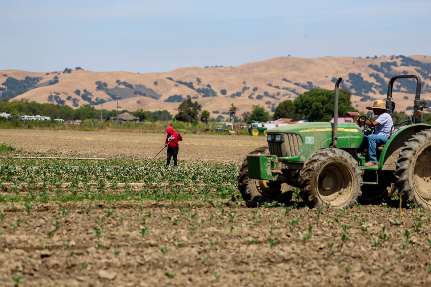 Skelton: California farmers bought Trump’s election pitch. Now they may pay the price