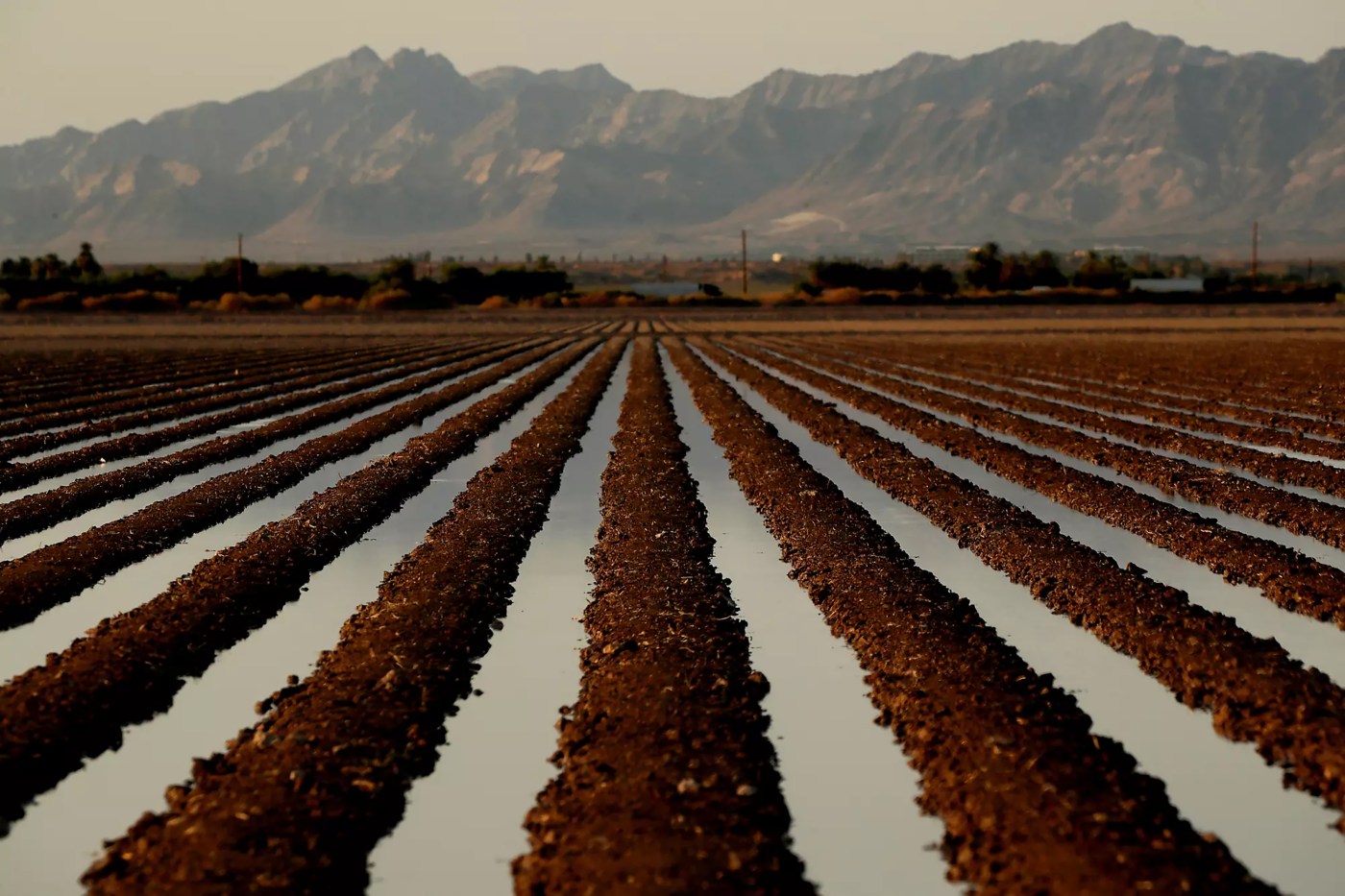 Walters: Colorado River poses another California water conflict that Trump will affect