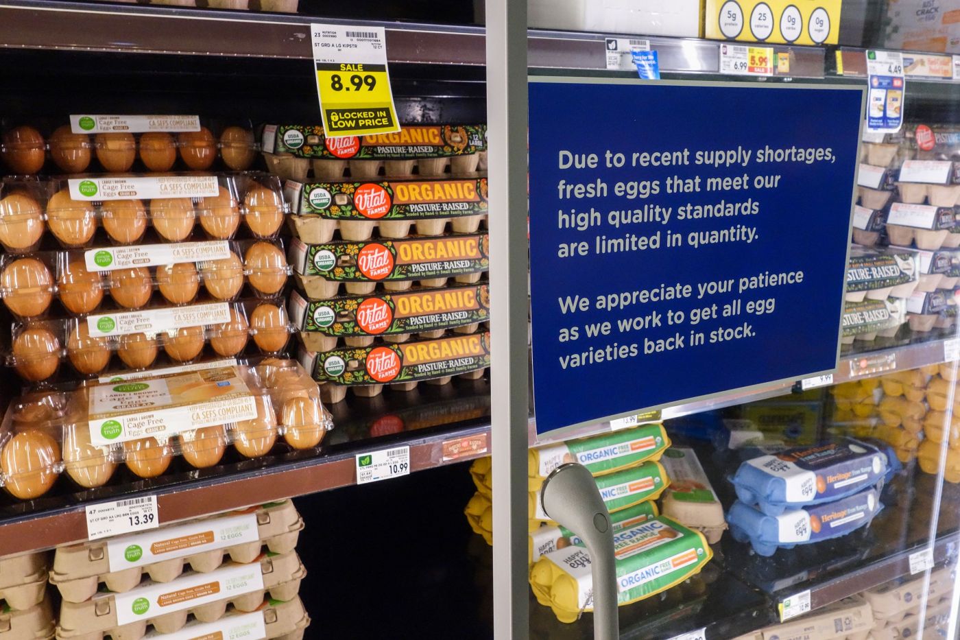 Eggs Soar 15% in a Month With Grocery Shelves Empty Across US