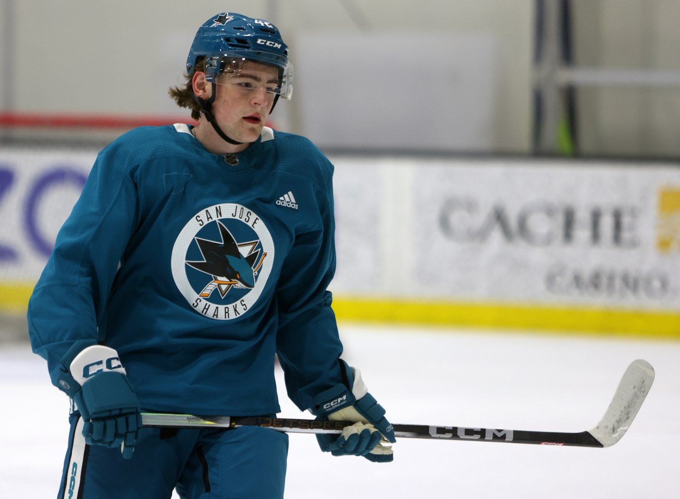 Sharks recall San Jose Barracuda’s top scoring defenseman