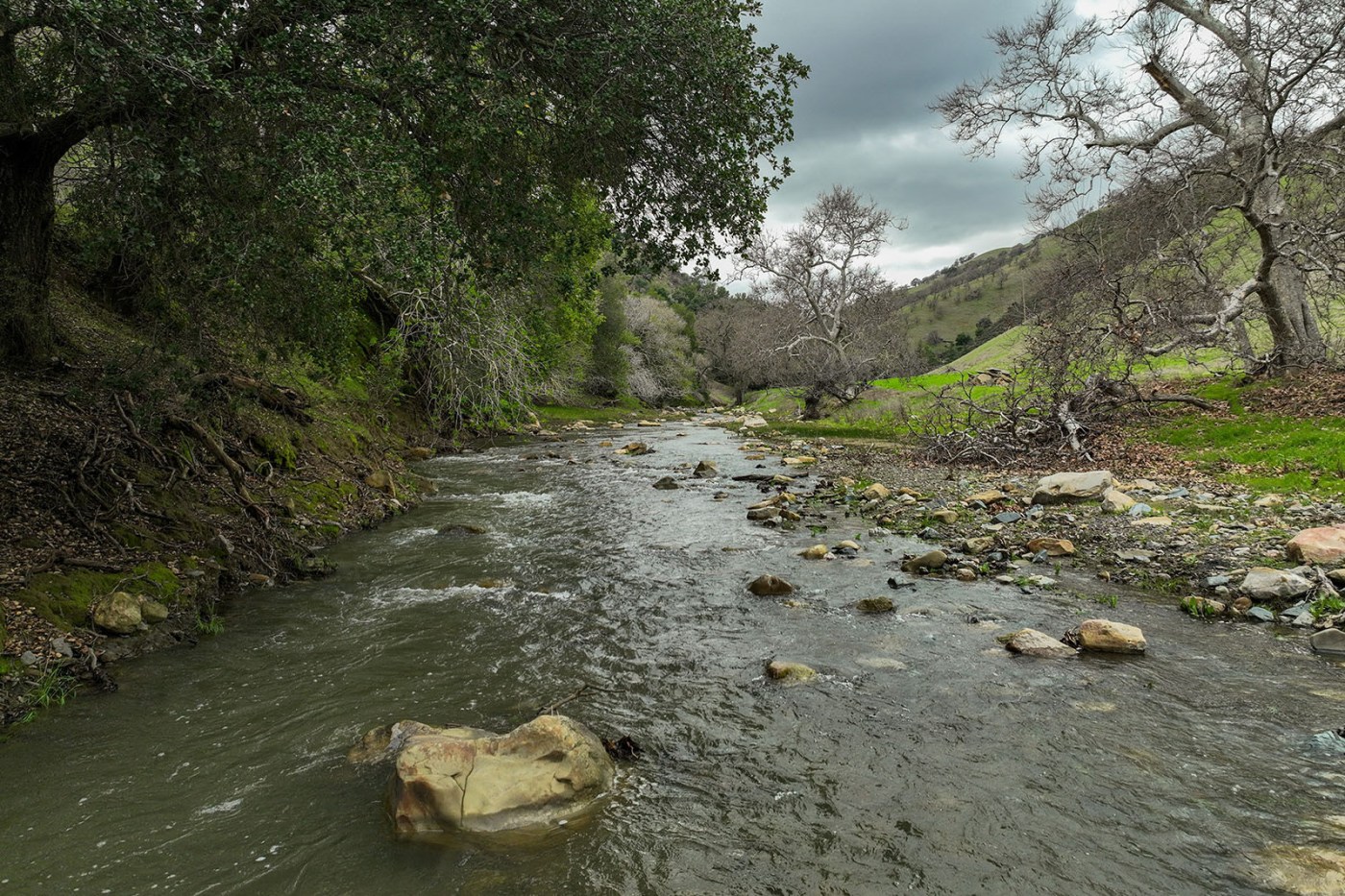 Save Mount Diablo acquires 98-acre Schwendel Ranch in “landmark conservation victory”