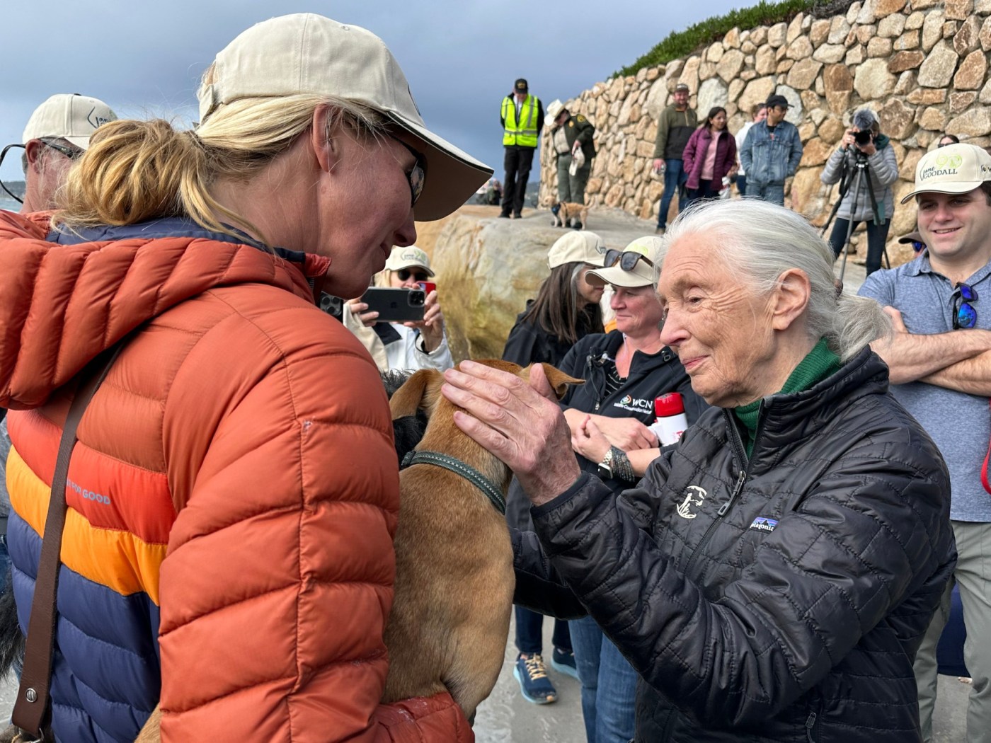 Jane Goodall returns to Carmel to help save sea otters