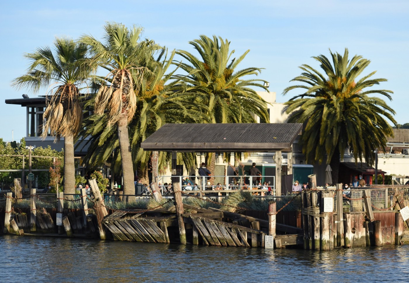 Investigators suspect arson at Phil Lesh’s former Marin club Terrapin Crossroads