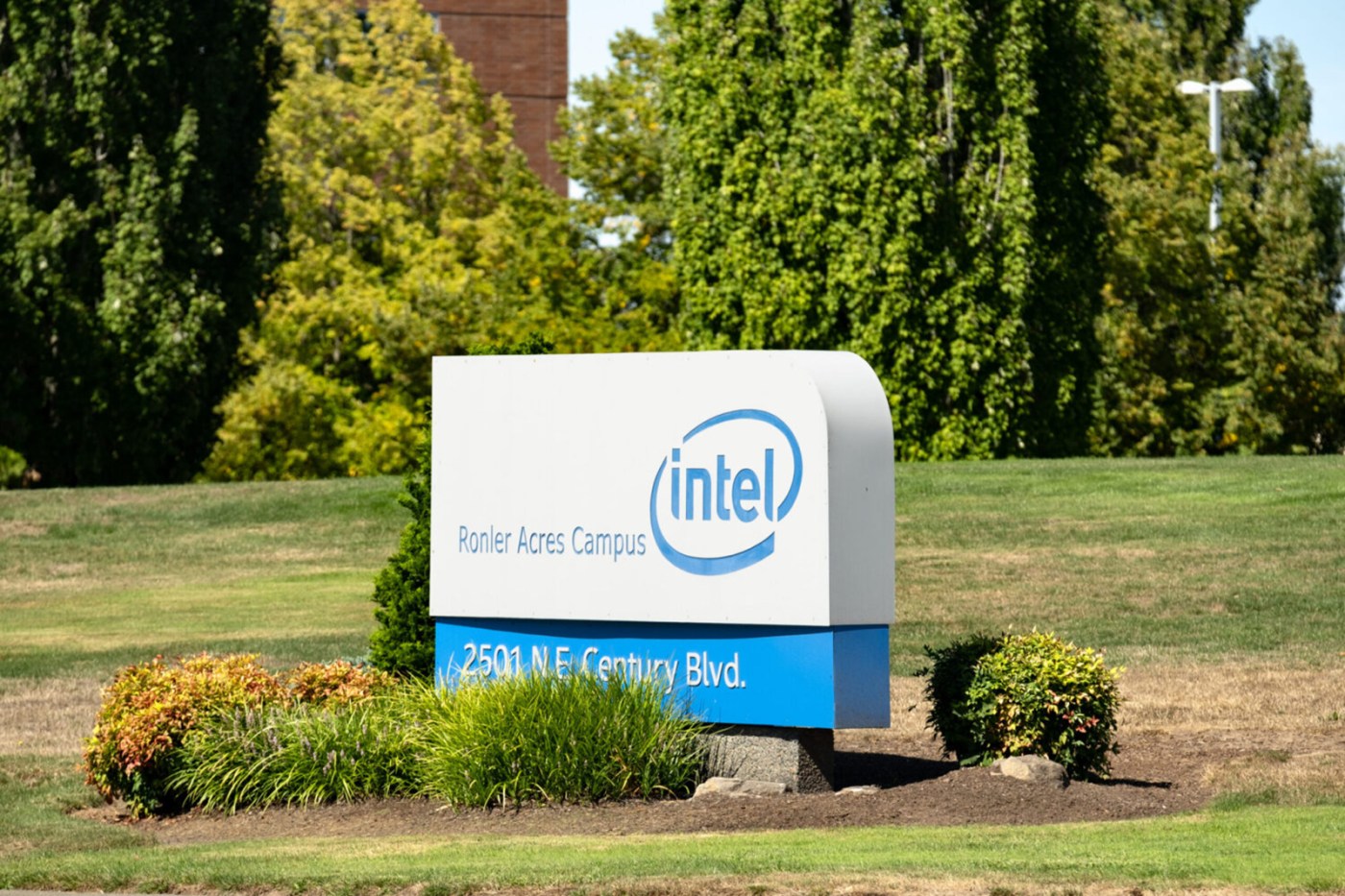 Intel’s new CEO faces ‘show me’ moment after $22 billion rally