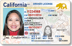 Bay Area man inspires legislation for senior ID cards