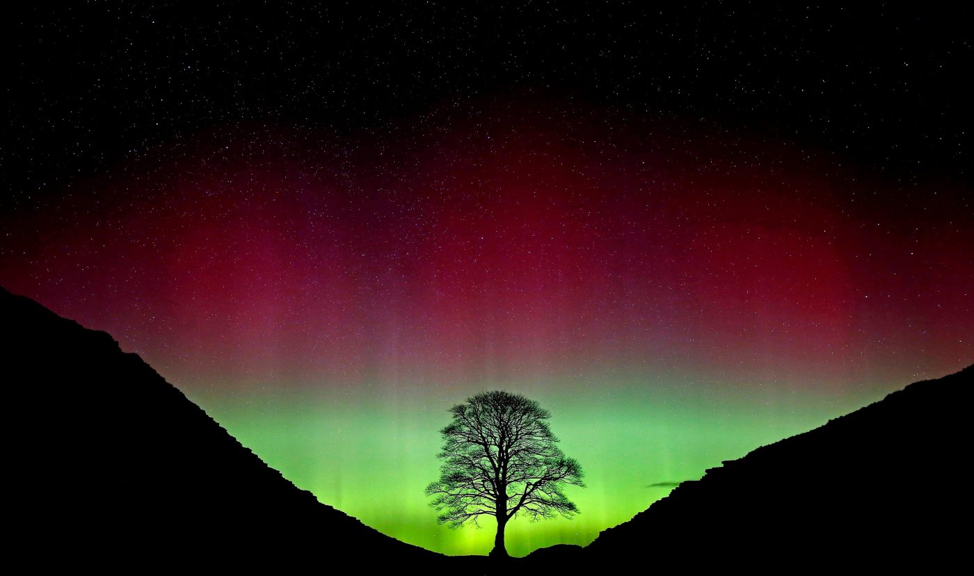 Suspects exulted in uproar over felling of famous Sycamore Gap tree, prosecutor says