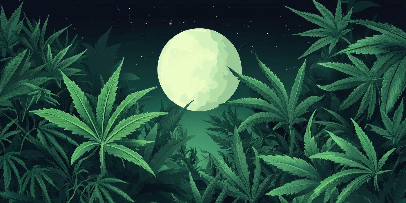 A Guide to Celebrating the Full Moon with Cannabis