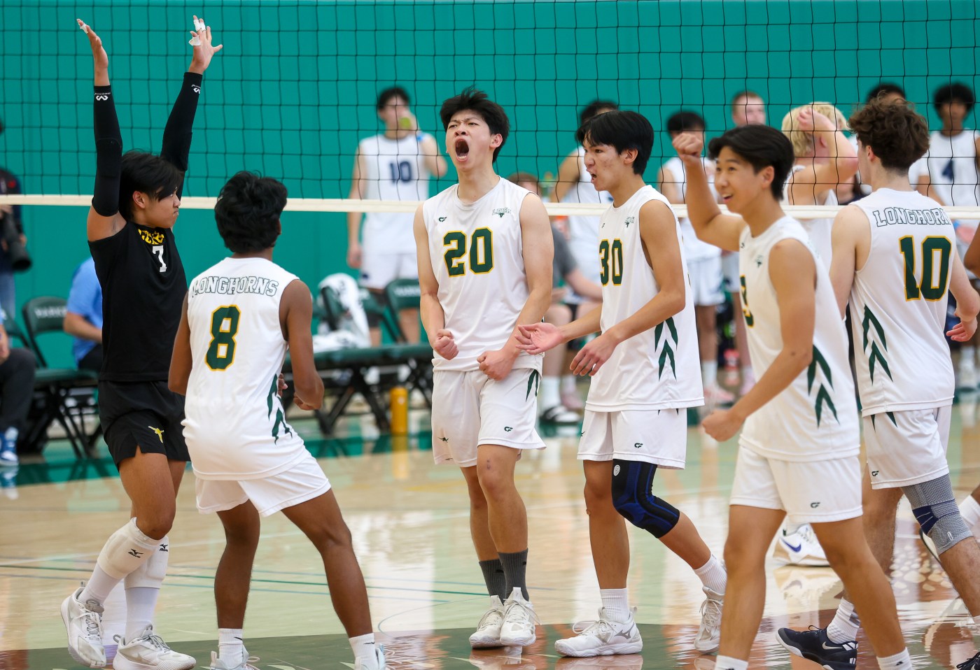 NorCal volleyball roundup: Leigh, Branham to meet in CCS rematch; Albany, Oakland Tech play 5-set thriller