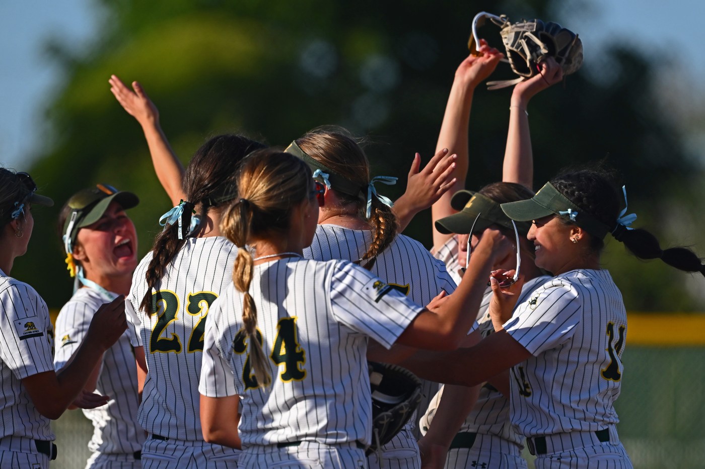 Livermore softball team seeks NorCal tourney bid in honor of late friend, cheerleader