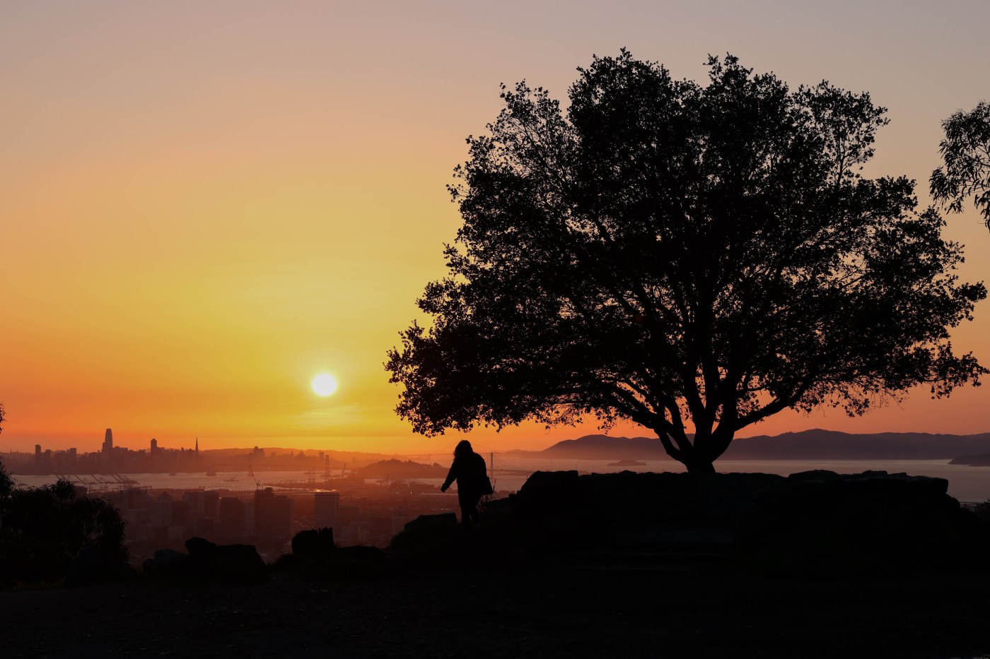 For Bay Area, a steady weather diet of warmer temps, clear skies is around the corner