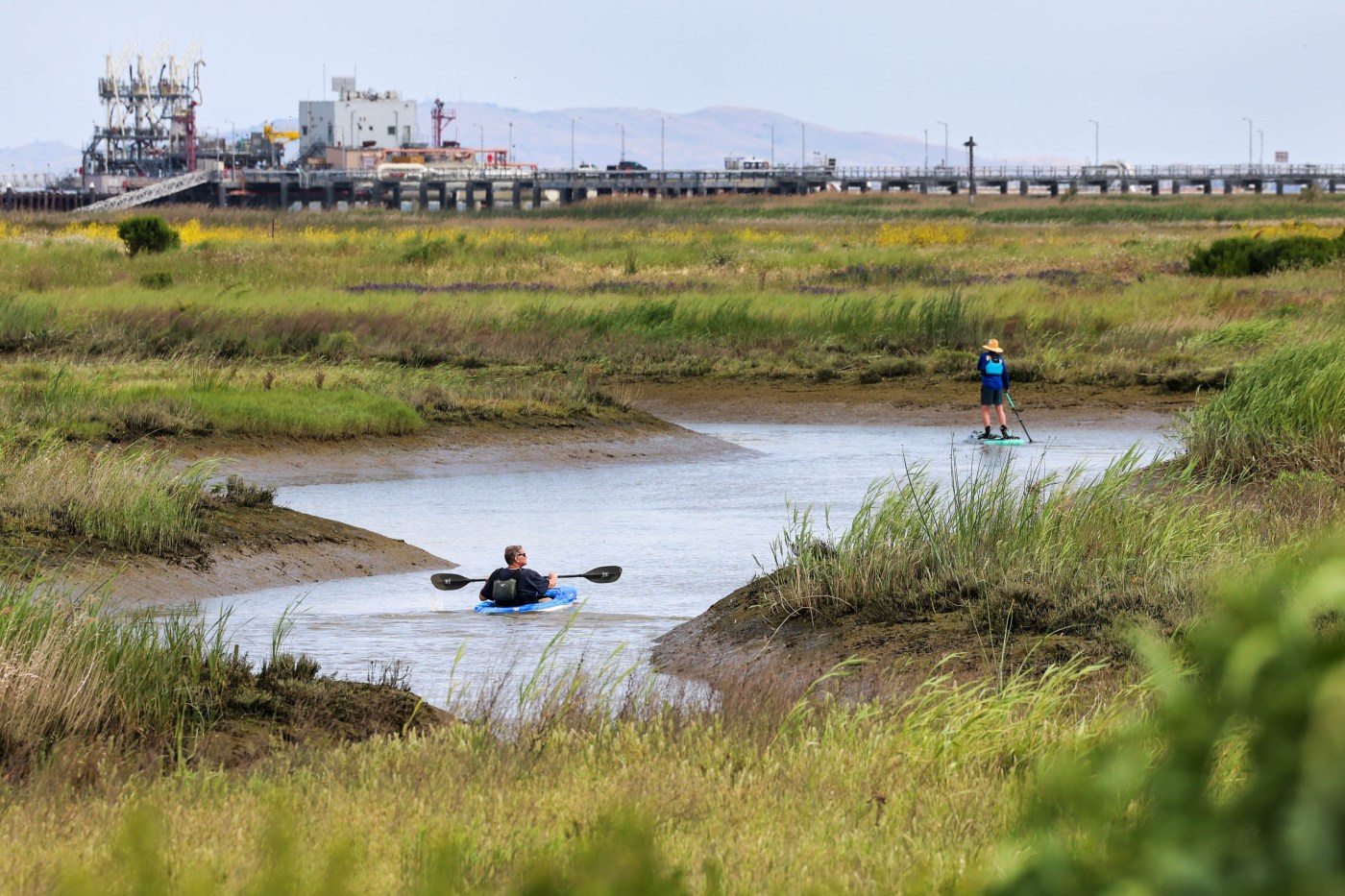 After two decades of restoration work, a crucial Bay Area habitat returns to its original natural beauty