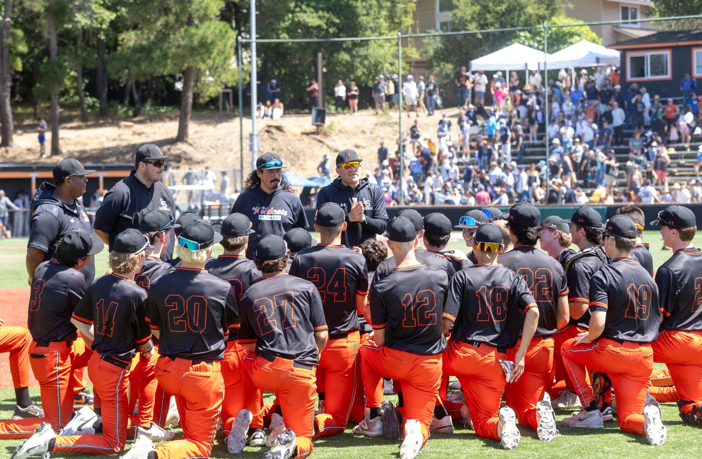 CCS baseball, softball playoffs: First-round scores in all divisions