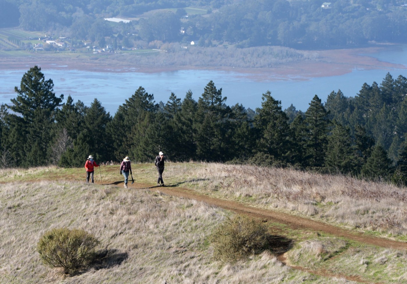 Mount Tamalpais hiking acclaimed in state parks poll
