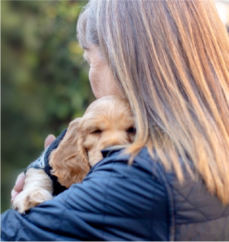 Statewide Adopt-a-Pet Day set for June 7