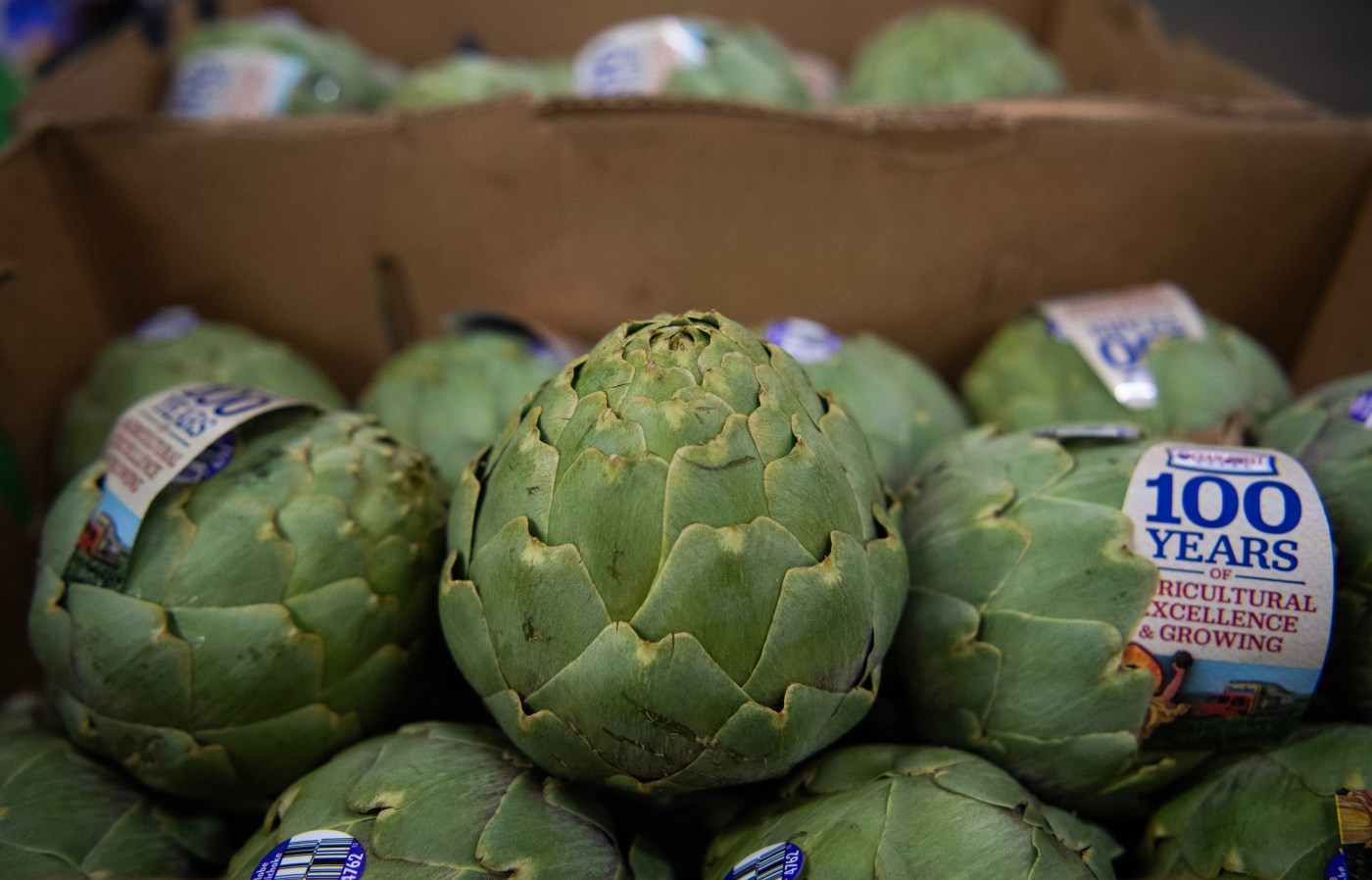 Monterey County: 2025 Artichoke Festival canceled without plans to return amid financial strain