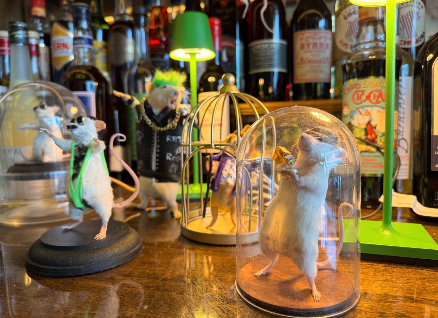 Coming soon to downtown San Jose: Coffee, amaro cocktails and stuffed mice