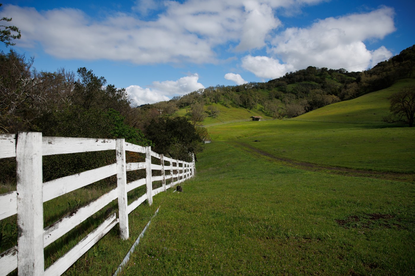 Letters: Santa Clara County board must deny builder’s remedy plans