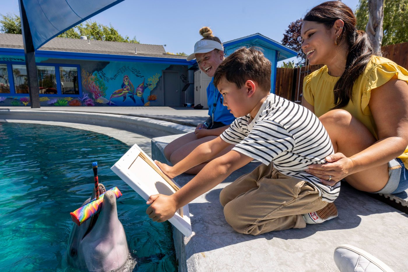 At Six Flags Discovery Kingdom, meet the dolphins, lions and giraffes