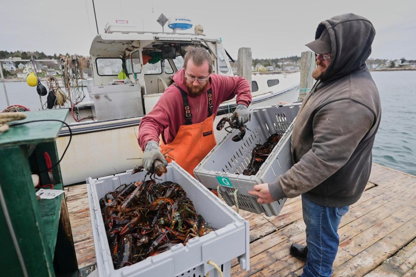 Fishermen battling with changing oceans chart new course after Trump’s push to deregulate