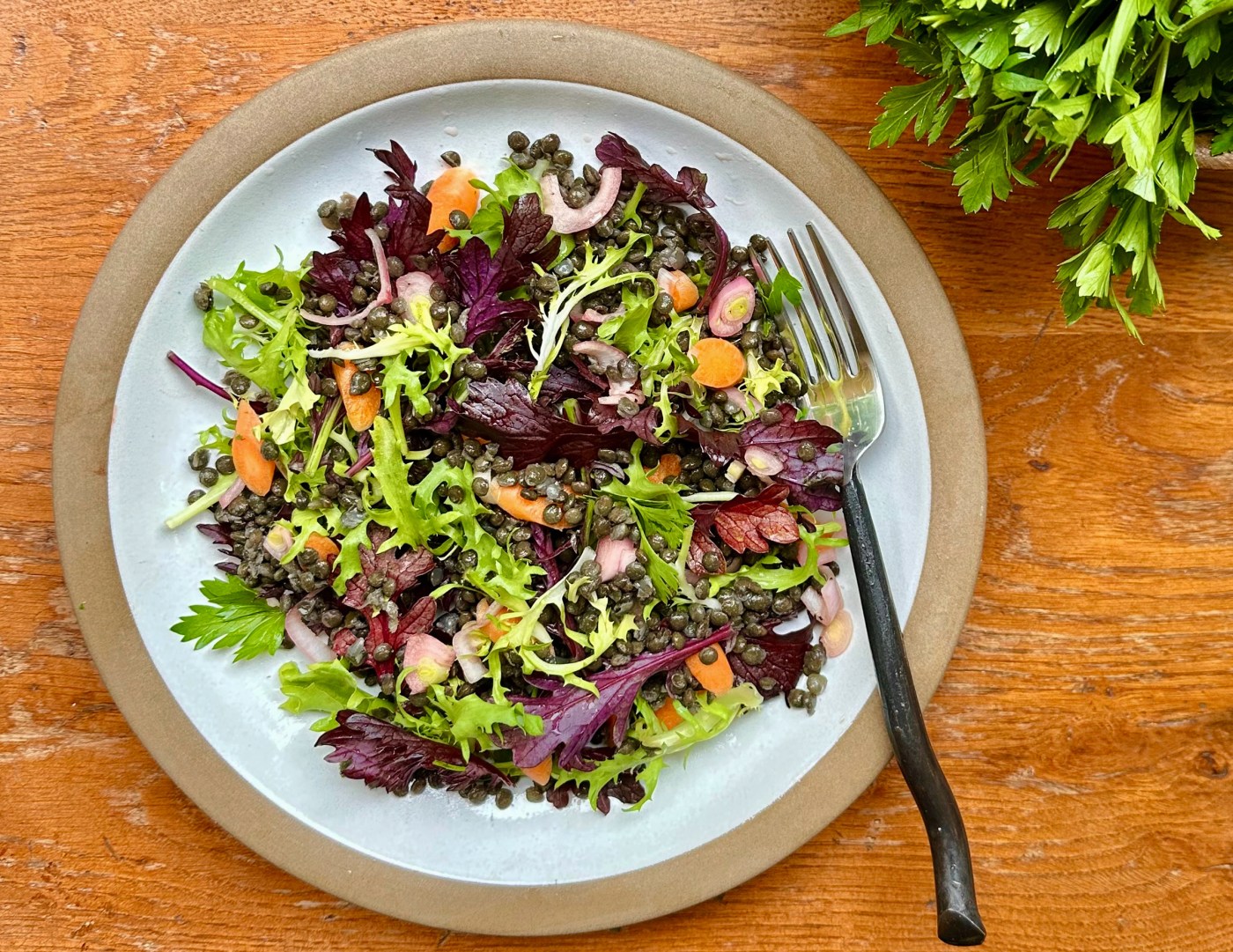 Healthy frugal lentils with a French accent