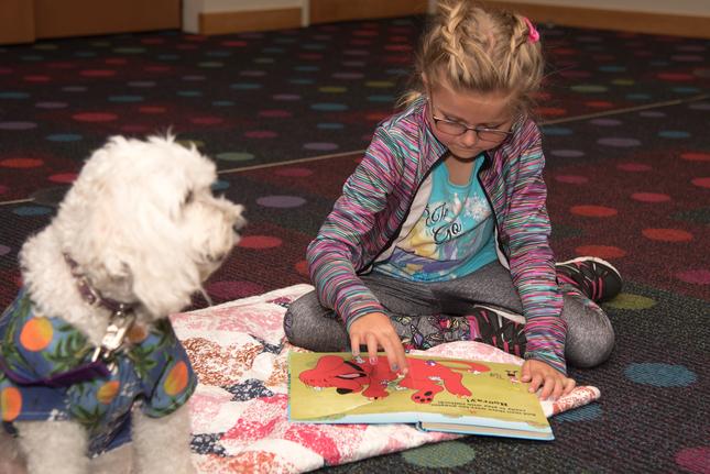 Milpitas Library to unveil new play space on June 14