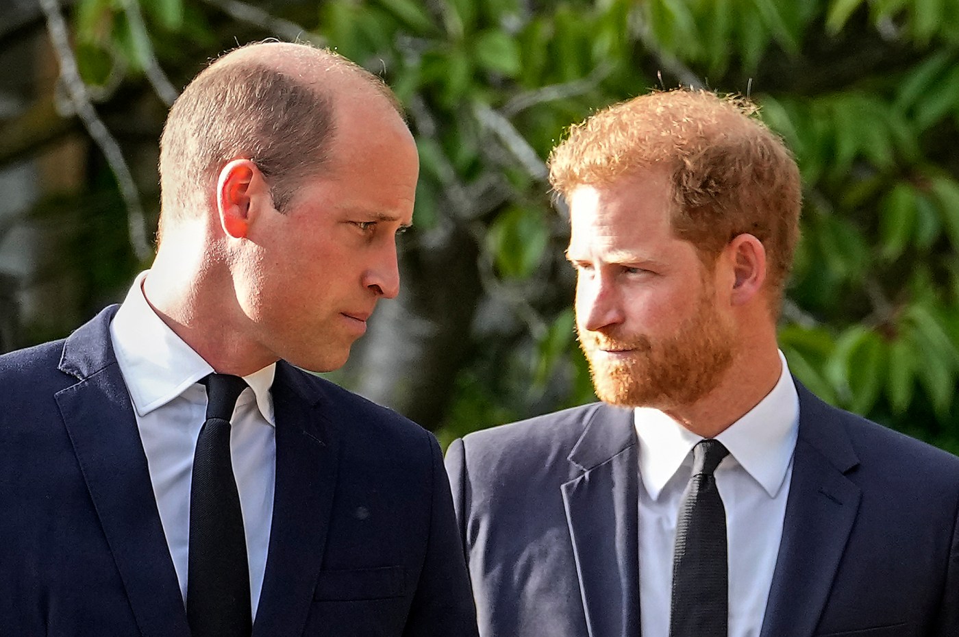 Prince William won’t let Harry and Meghan’s kids be working royals: report