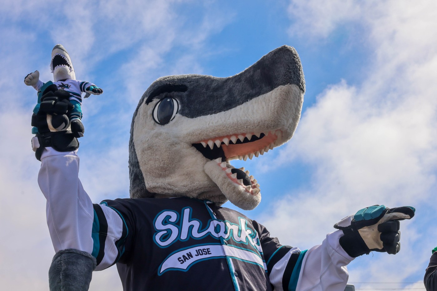 SJ Sharkie of San Jose Sharks given ultimate honor — for a mascot