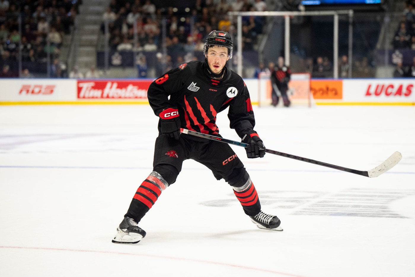 Could the Sharks surprise at NHL Draft, and take this ‘Celebrini-ish’ center?
