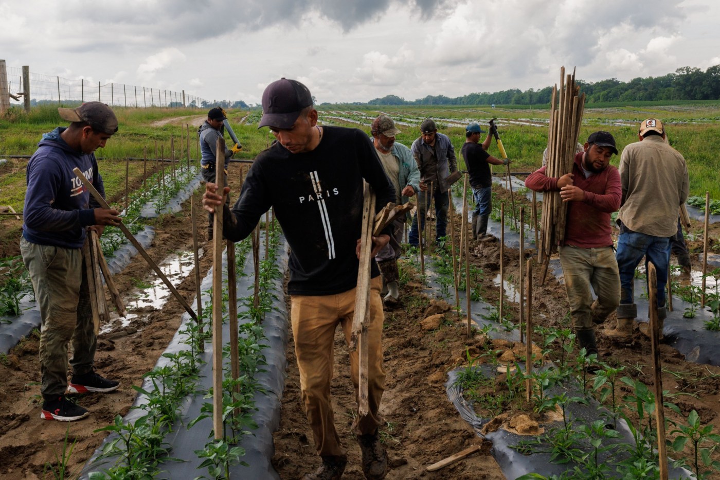 As labor costs rise, AI is learning to farm
