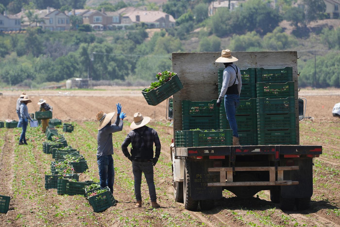 Walters: California politicians ignore agriculture’s troubles but boost movie business