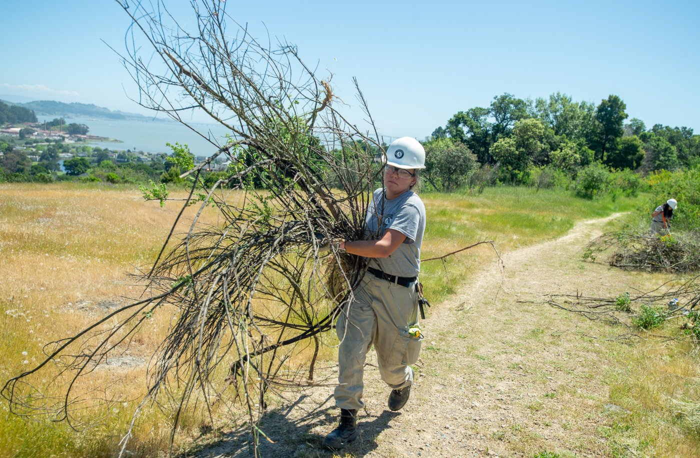 AmeriCorps must restore funding and workers to states that sued over cuts, federal judge rules