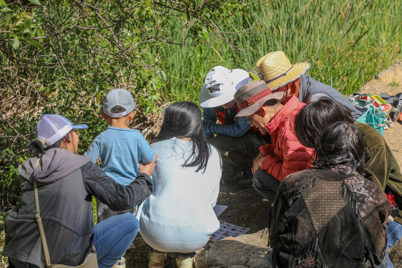 San Jose’s Alum Rock Park hit by ‘BioBlitz’
