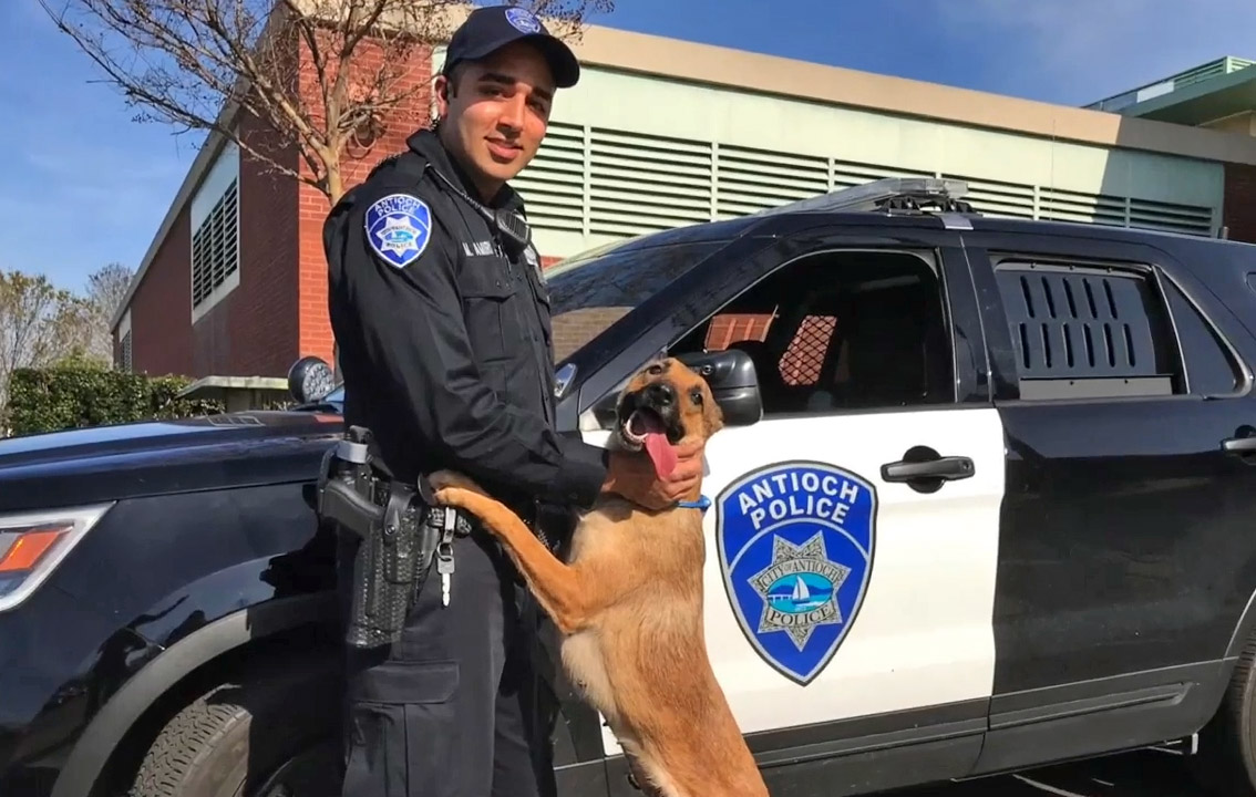 Attorneys spar over potential prison term as convicted Antioch K9 cop faces sentencing
