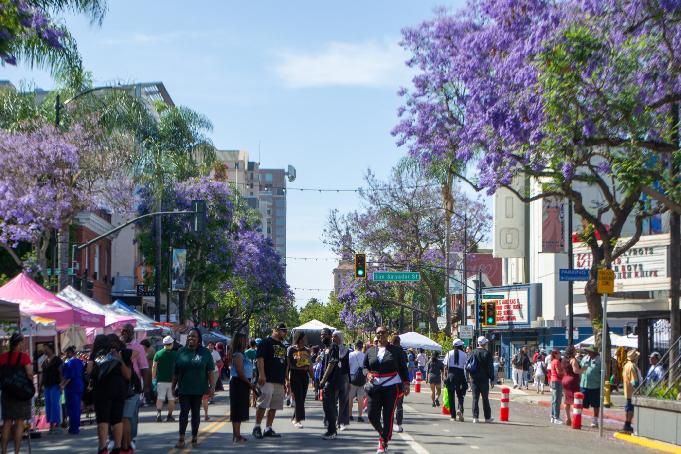 Black community pride fills San Jose Juneteenth festival