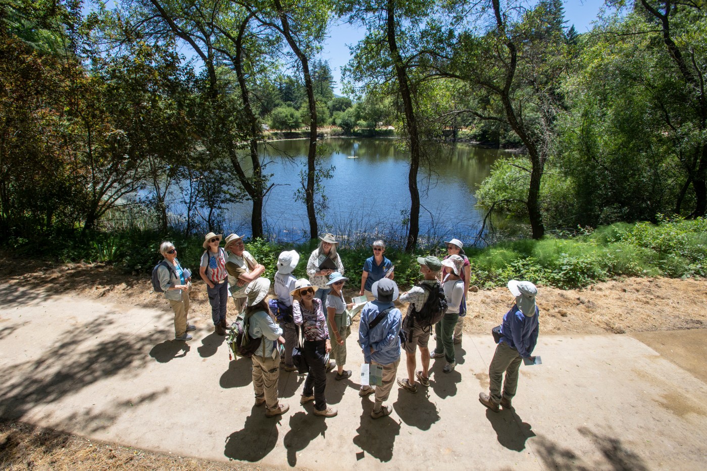 Midpen set to improve access to Bear Creek Redwoods in Los Gatos