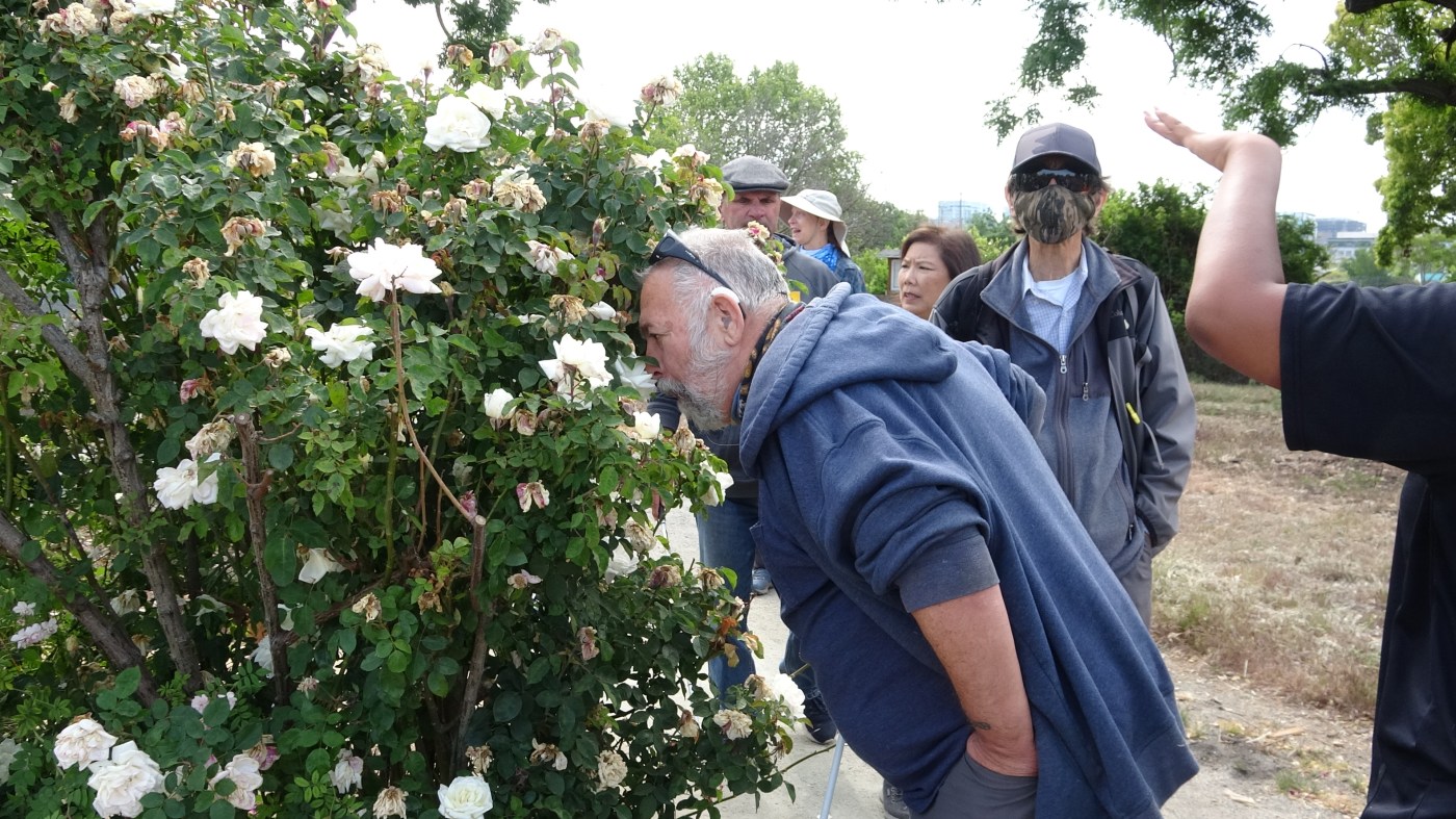 Walking with all 5 senses can improve health for people with disabilities