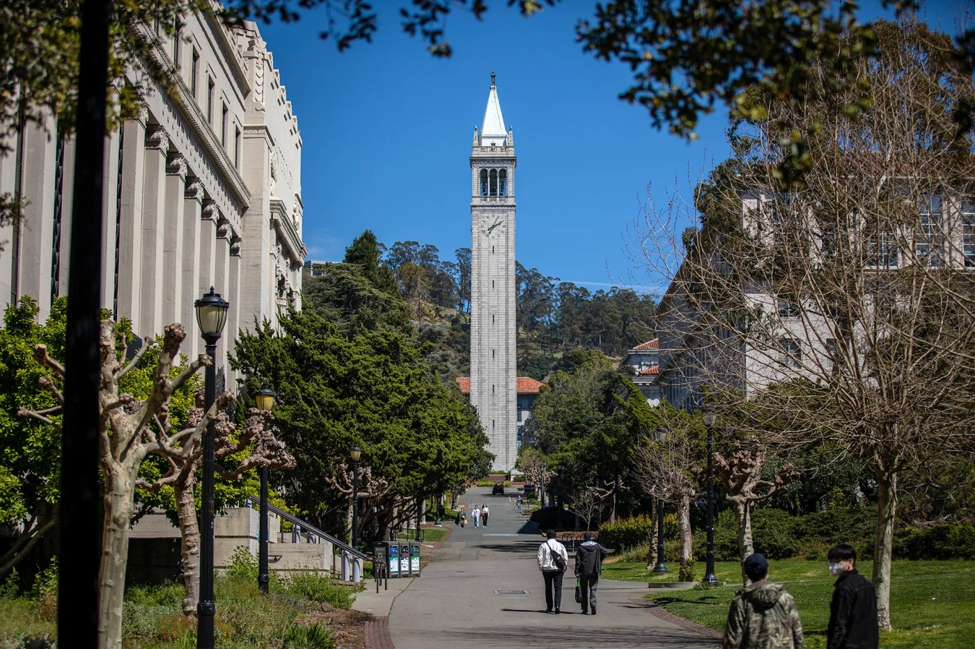 University of California admits record number of students