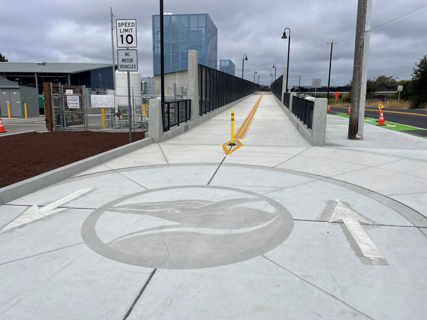Highway 1 ‘whale bridge’ reopens for public use