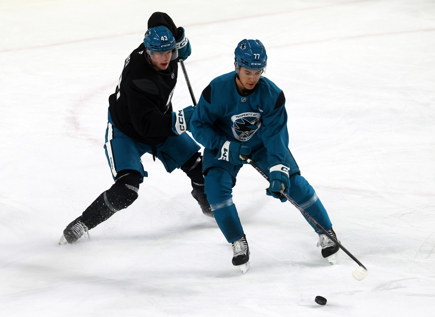 Michael Misa soaks in knowledge from Sharks icons, is steadfast in his goal