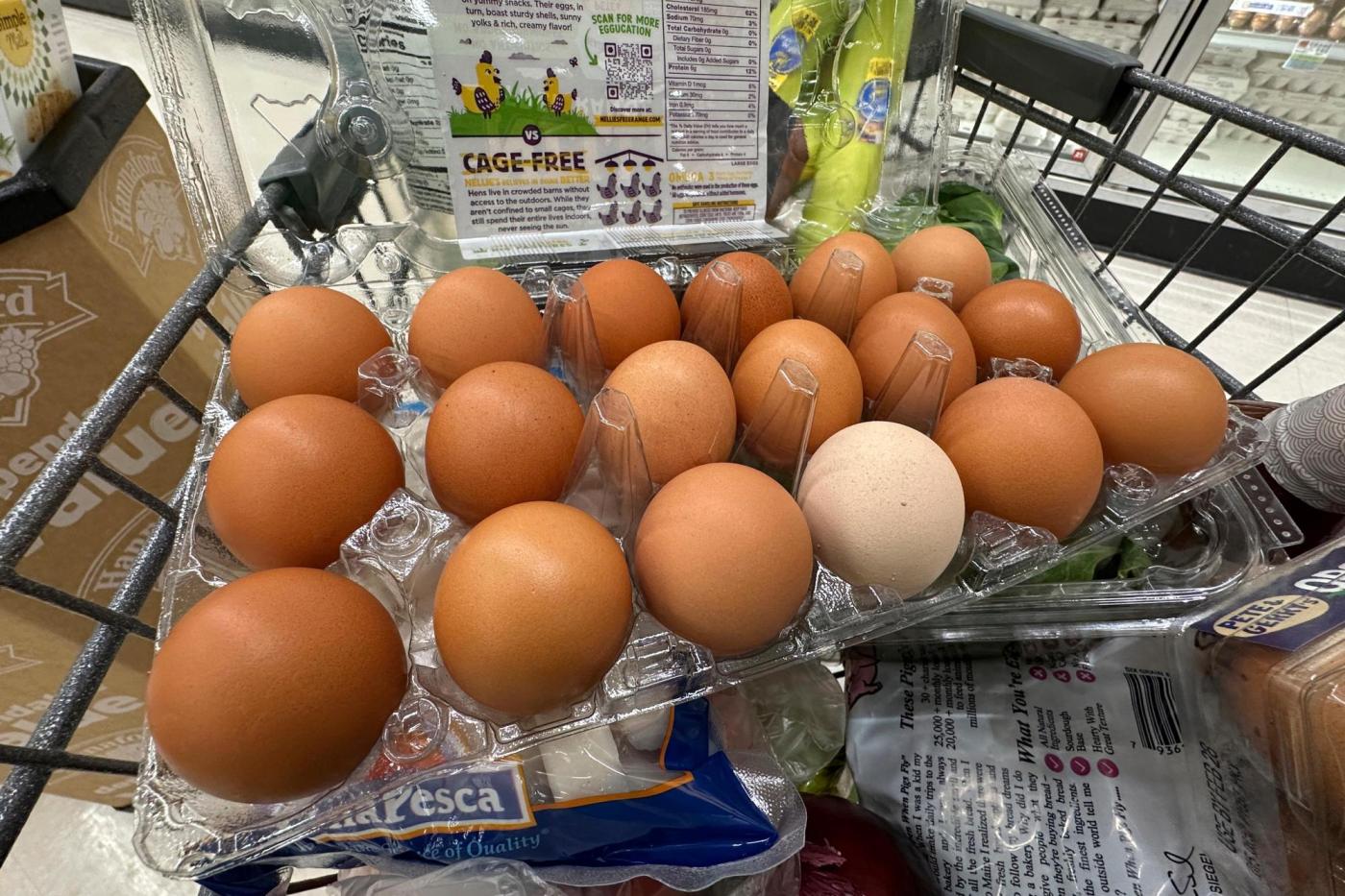 The tariff-driven US inflation that economists feared begins to emerge