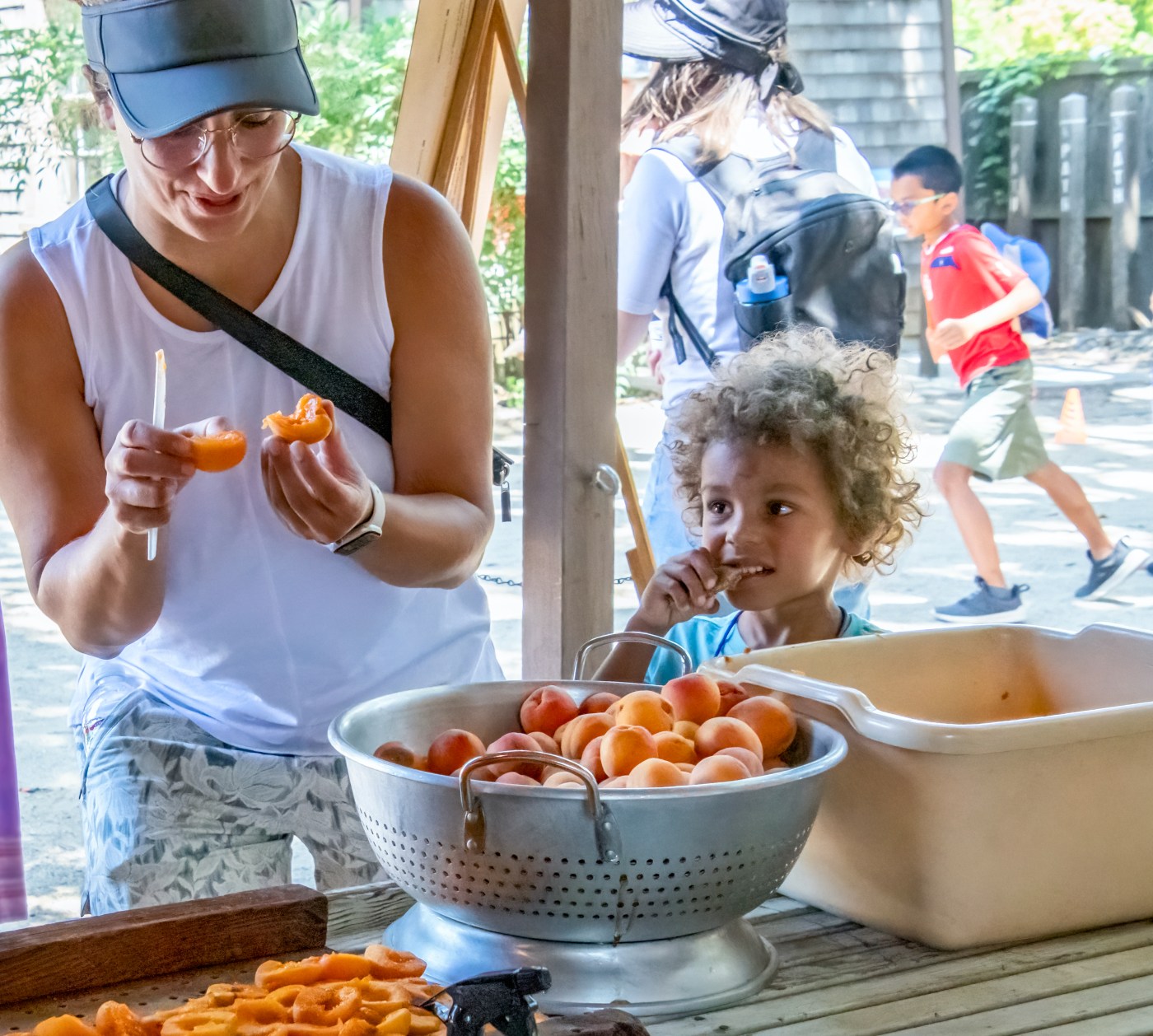 History museum hosts Apricot STEM Fair