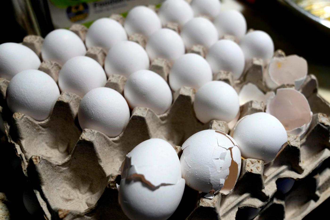 Trump administration sues California over egg prices, farm animal welfare laws